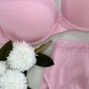 Kadın Pembe Dantelli Balenli Sütyen ve Slip Set